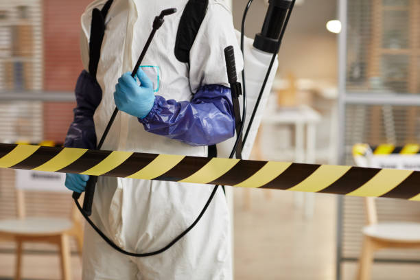 Professional Hoarding Cleanup technician working in Medina, NY